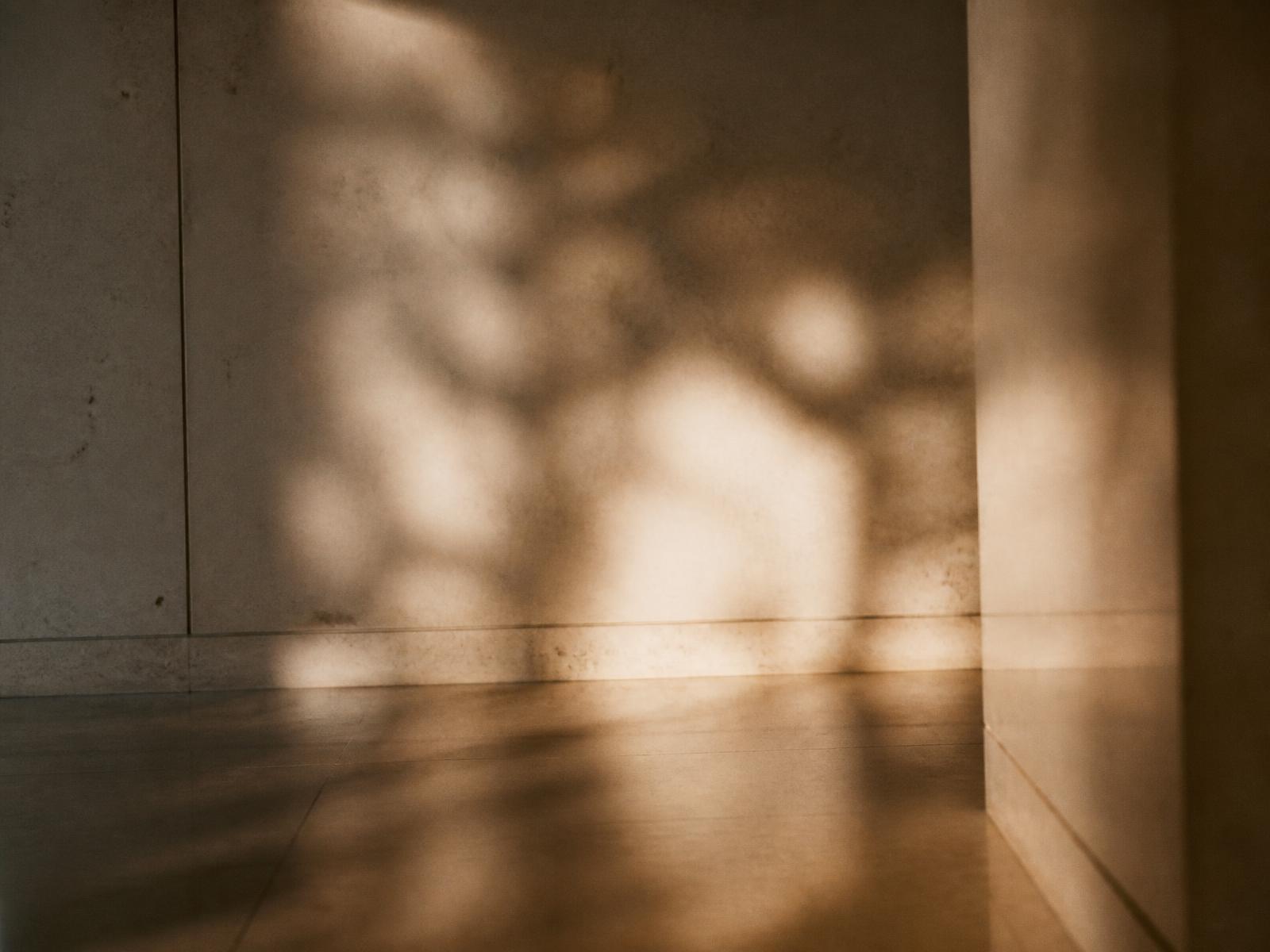 Soft daylight patterns falling across a quiet institutional wall and floor